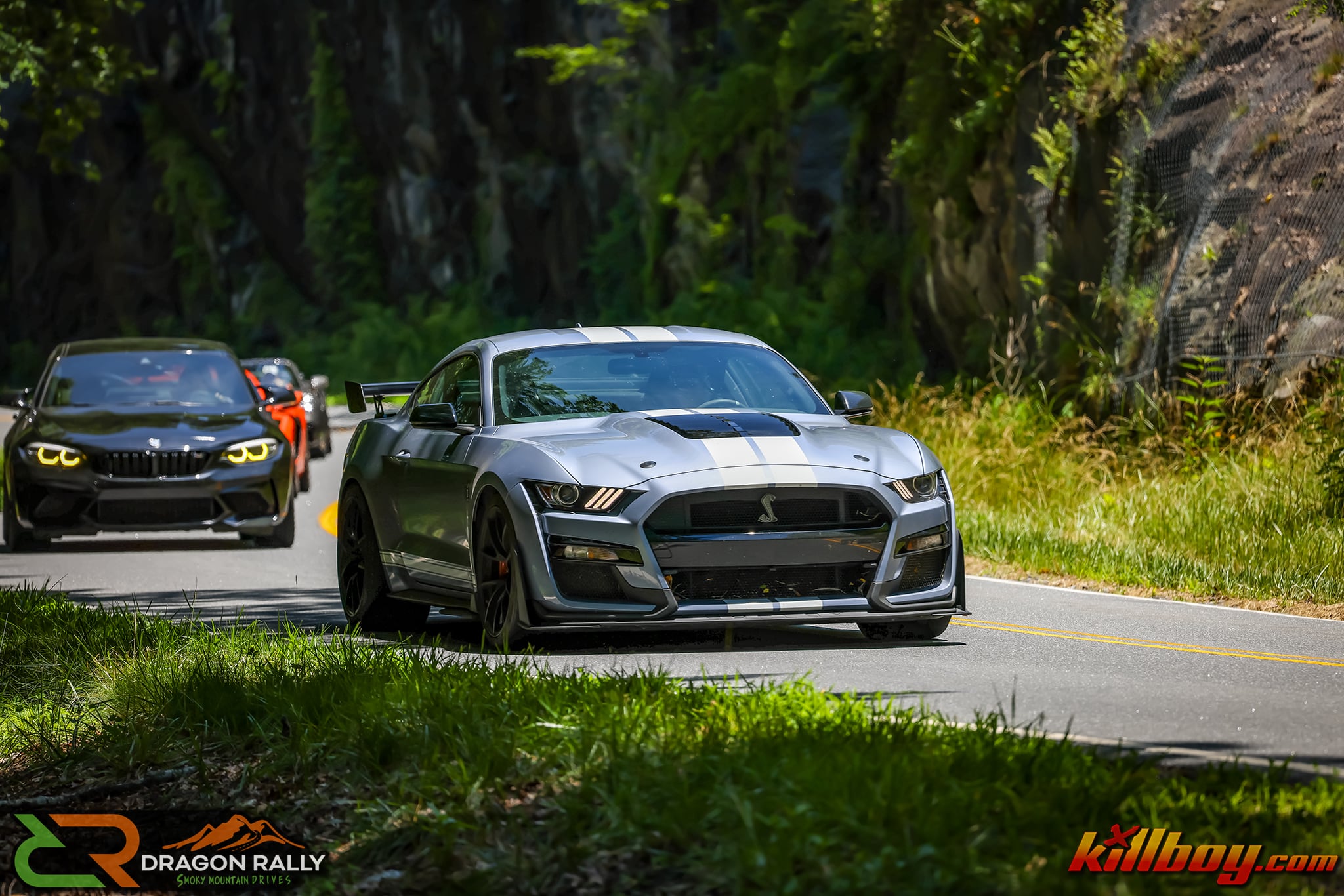 Dragon Rally ® LIV (54)