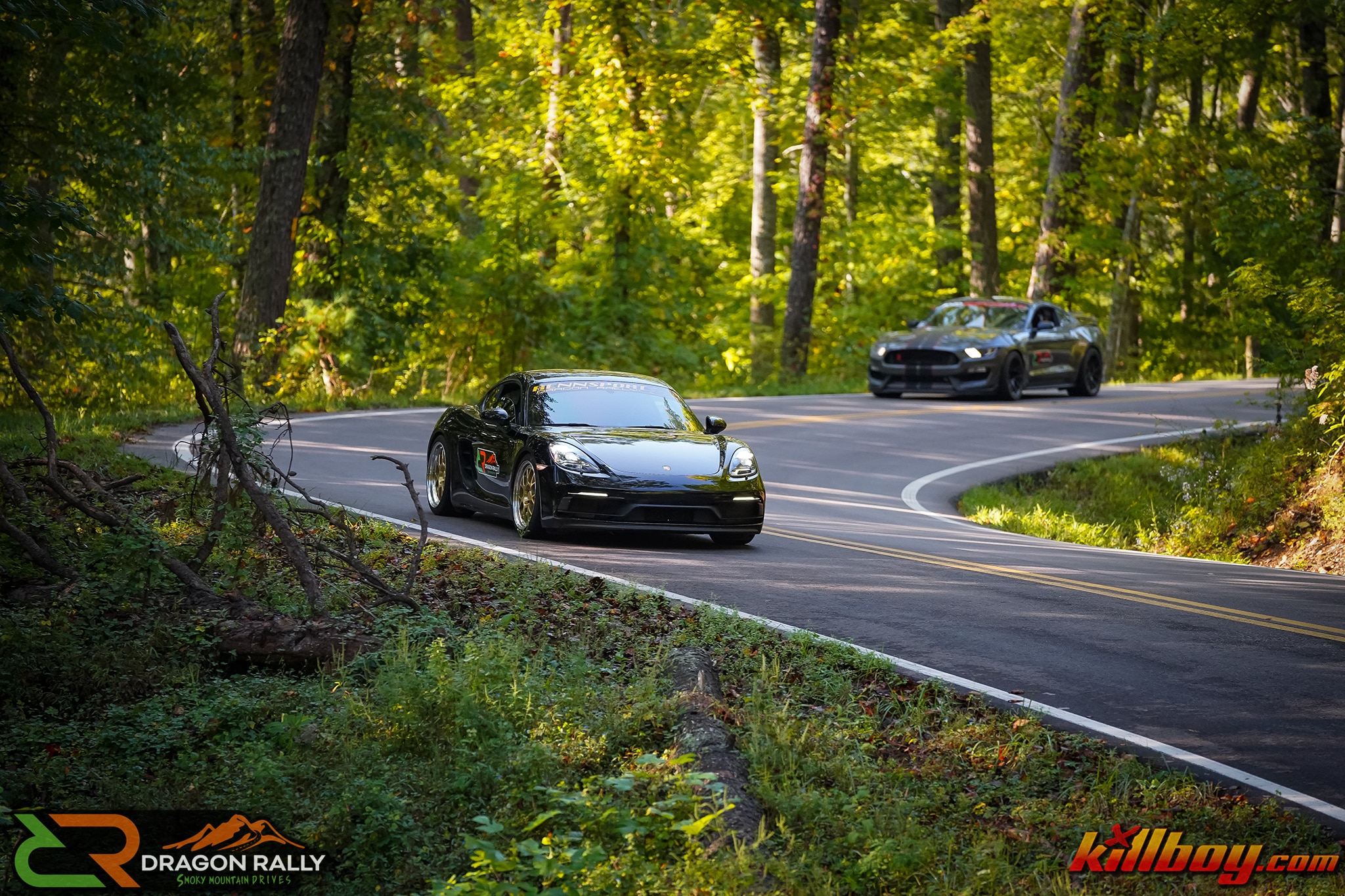 Dragon Rally ® LV (55)